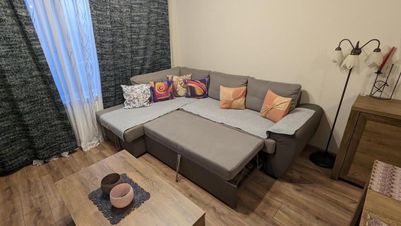 Business And Leisure Apartments In Mladost 2 With Free Garage 索菲亞 外观 照片