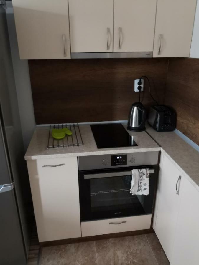 Business And Leisure Apartments In Mladost 2 With Free Garage 索菲亞 外观 照片
